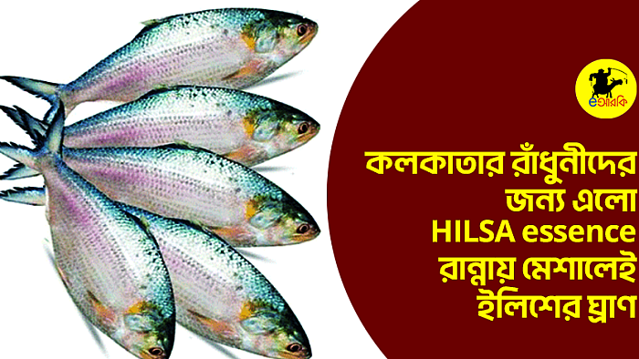 কলকাতার রাঁধুনীদের জন্য এলো HILSA essence, রান্নায় মেশালেই ইলিশের ঘ্রাণ