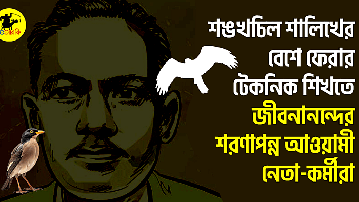 শঙখচিল শালিখের বেশে ফেরার টেকনিক শিখতে জীবনানন্দের শরণাপন্ন আওয়ামী নেতা-কর্মীরা