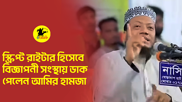 স্ক্রিপ্ট রাইটার হিসেবে বিজ্ঞাপনী সংস্থায় ডাক পেলেন আমির হামজা