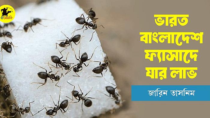 বাংলাদেশ-ভারত ফ্যাসাদে যার লাভ