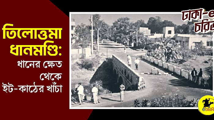 তিলোত্তমা ধানমণ্ডি: ধানের ক্ষেত থেকে ইট-কাঠের খাঁচা