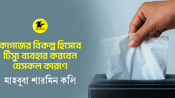 কাগজের বিকল্প হিসেবে টিস্যু ব্যবহার করবেন যে সকল কারণে