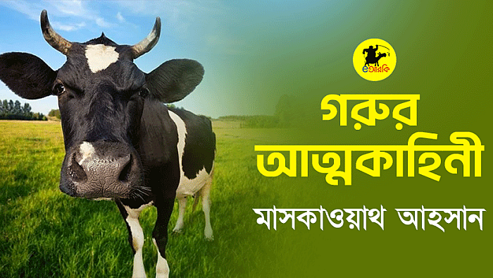 গরুর আত্মকাহিনী